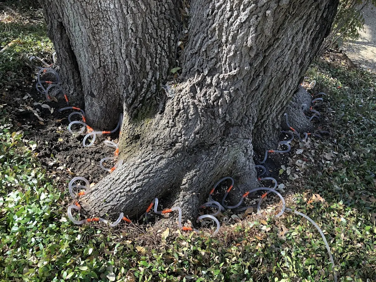Detailed Shrub and Hedge Trimming job site in Marion